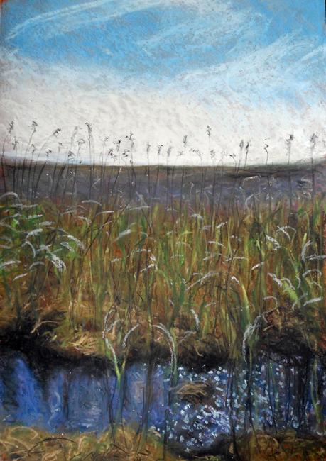 light-on-the-reeds