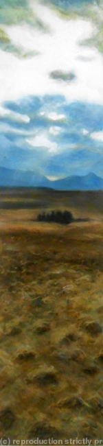Connamara Oasis