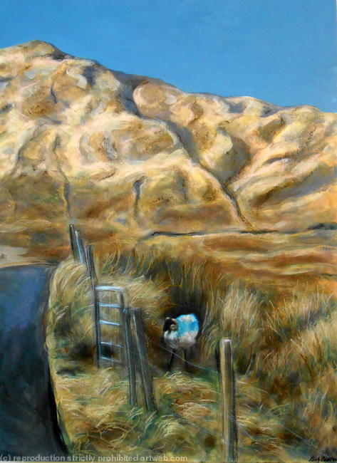 The Lookout