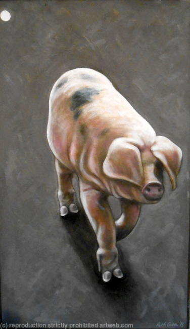 Pigacure