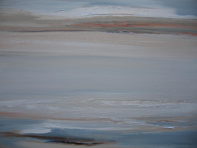 Shallow sea intervals (Estuary series)