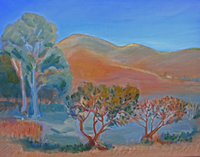 Quiet lake in Andalucian hills, evening