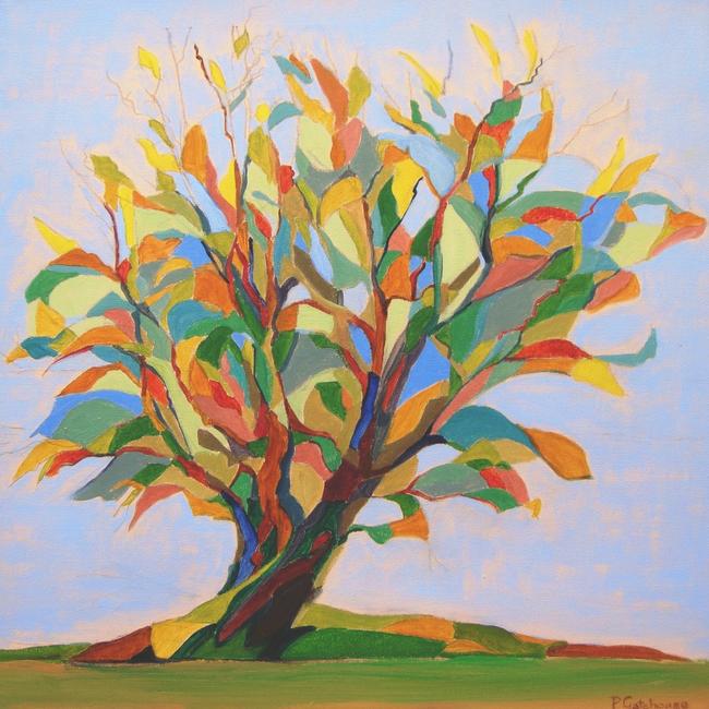 Willow (Coloured Spaces)