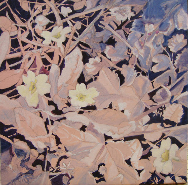 Primroses in the wild