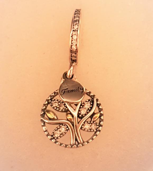 No 38 Tree Of Life Zircon stones Sterling Silver Charm With Family Tag