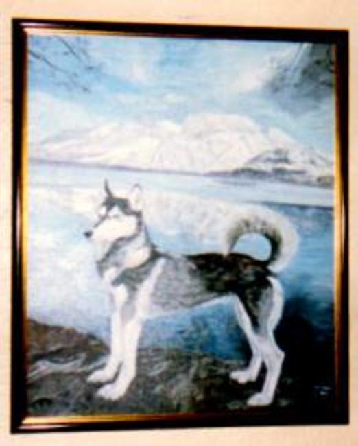 Terka