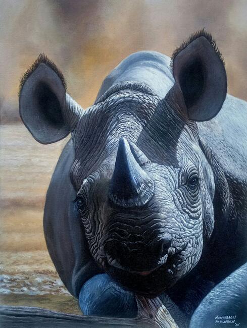 Sun Basking - Black Rhino