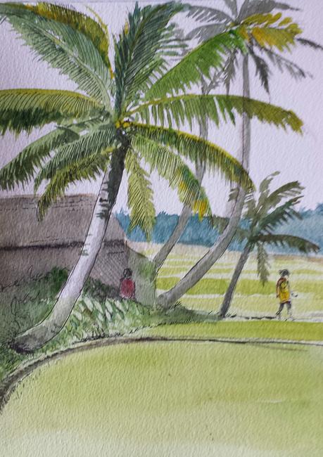 Kutty's paddy field