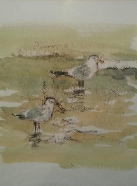 Gulls on the River Lea