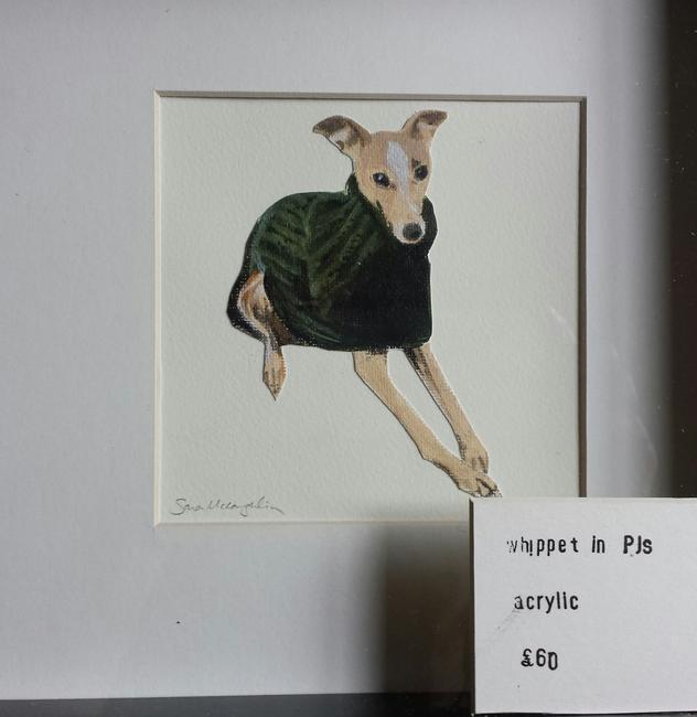 Whippet in PJs