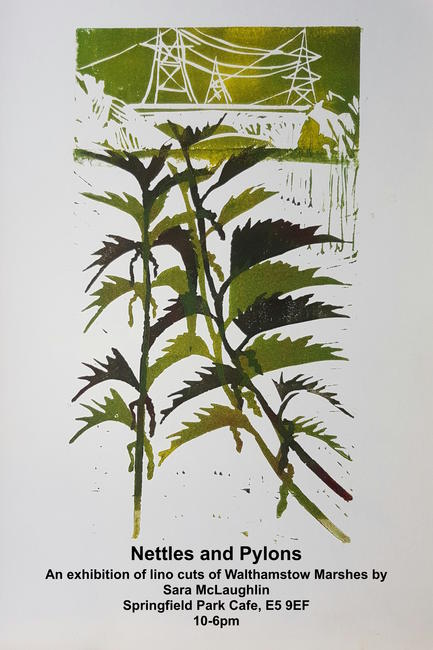 Nettles and Pylons