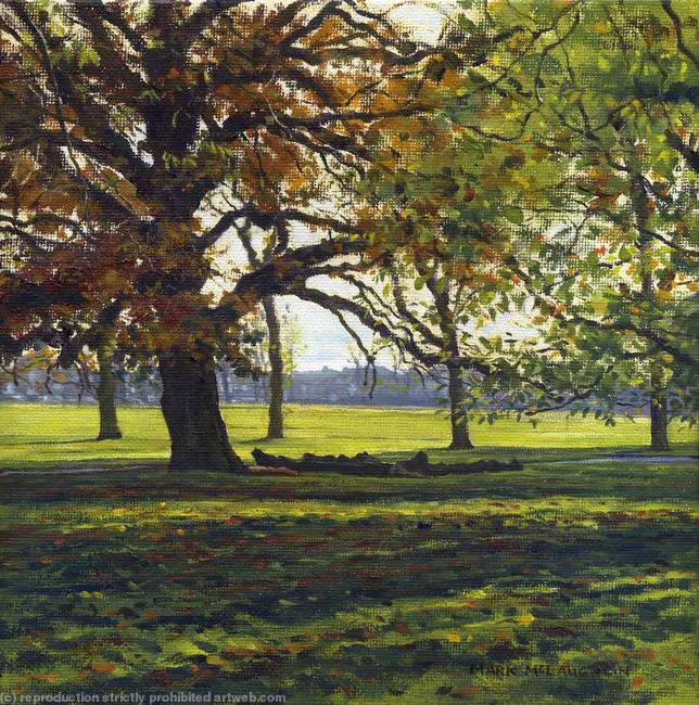 Turkey Oak, Ruskin Park