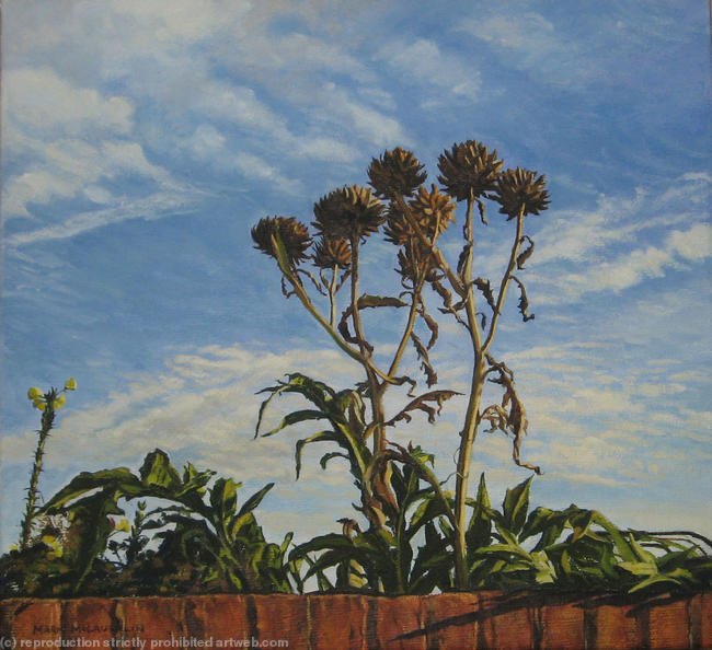 Artichokes