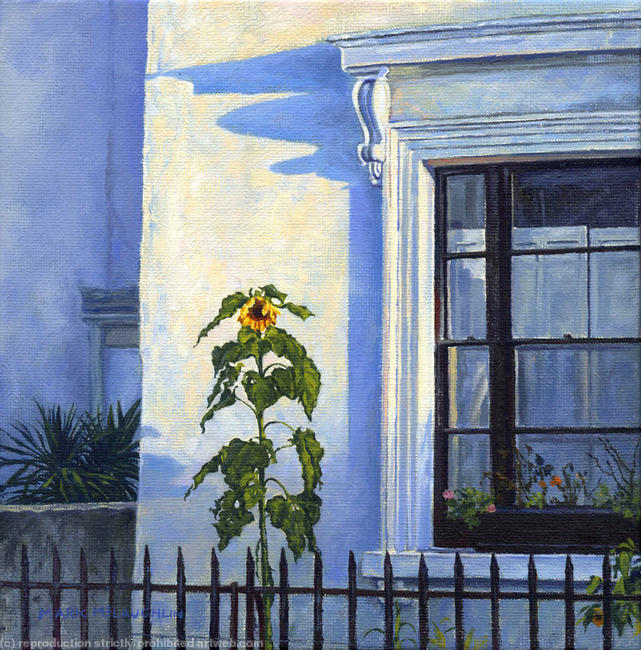Sunflower, southwell road