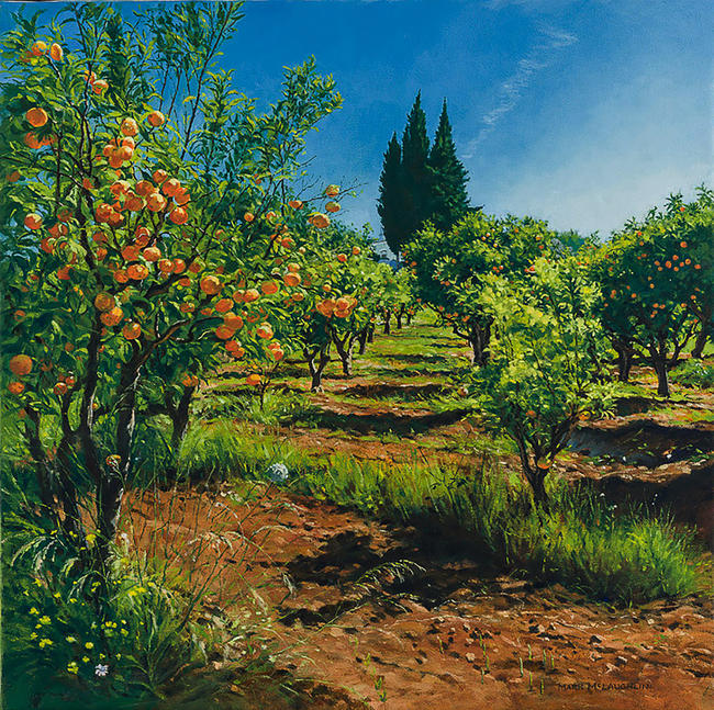 Orange Groves, Quinta Mimosa, Algarve.