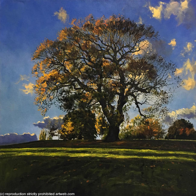 Oak in autumn light, Brockwell Park