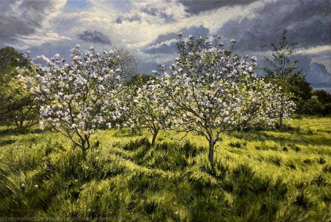 Between the showers, Dulwich Orchard.