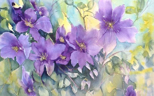 Clematis
