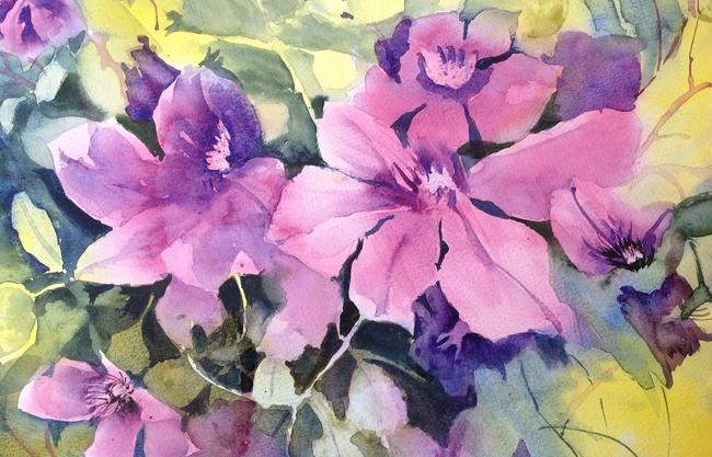 Magenta clematis