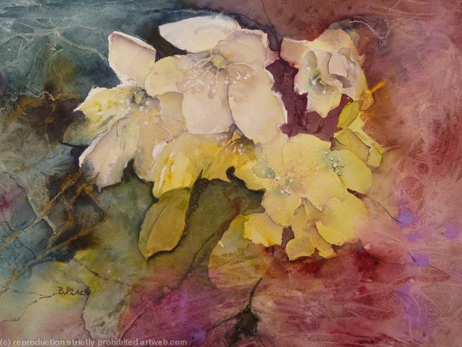 Hellebores 11