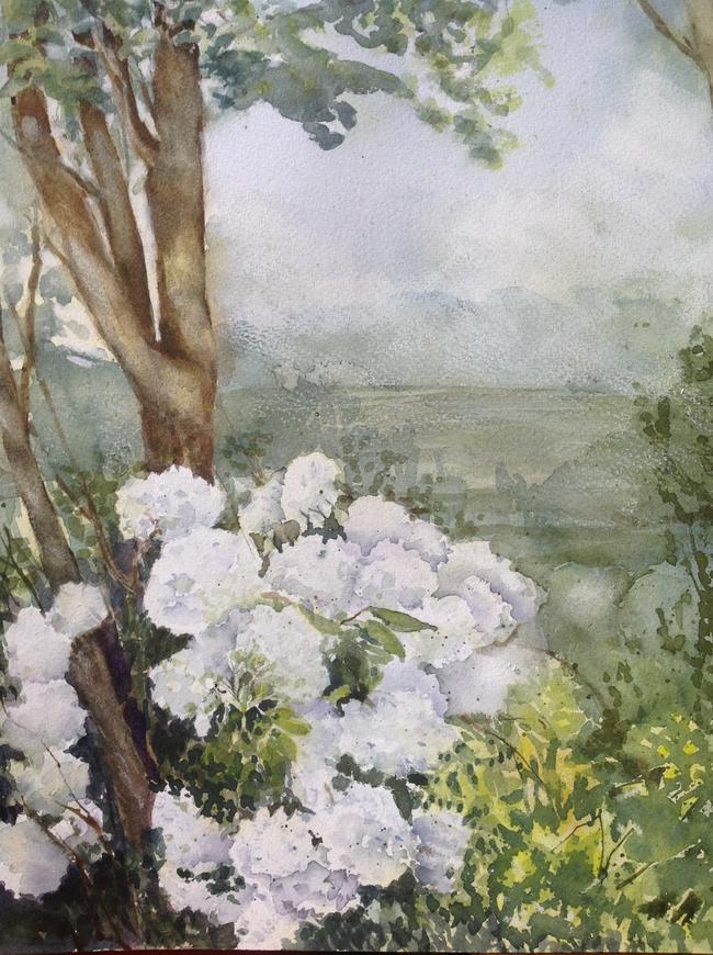 White Hydrangeas