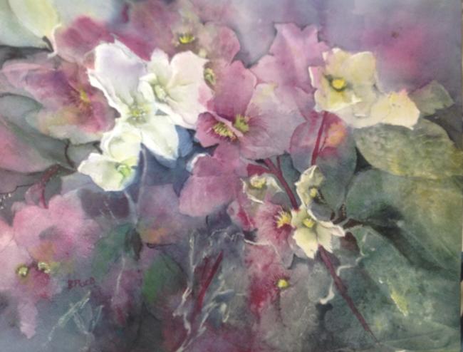 Hellebores