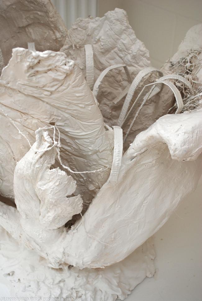 Organic Form
