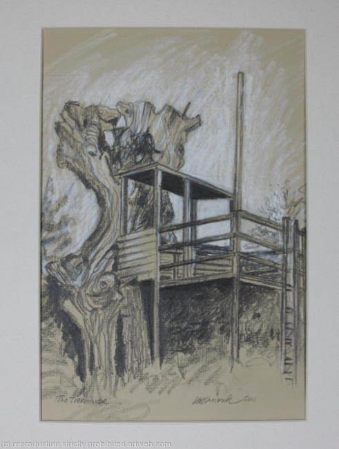 The Tree House
