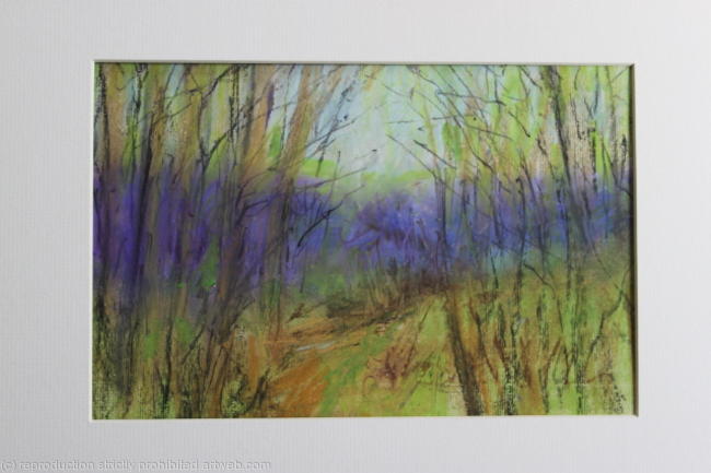 Bluebell Wood 2