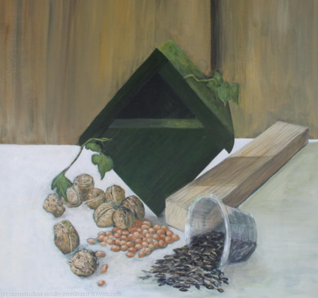 Bird box, nuts, seeds and wood