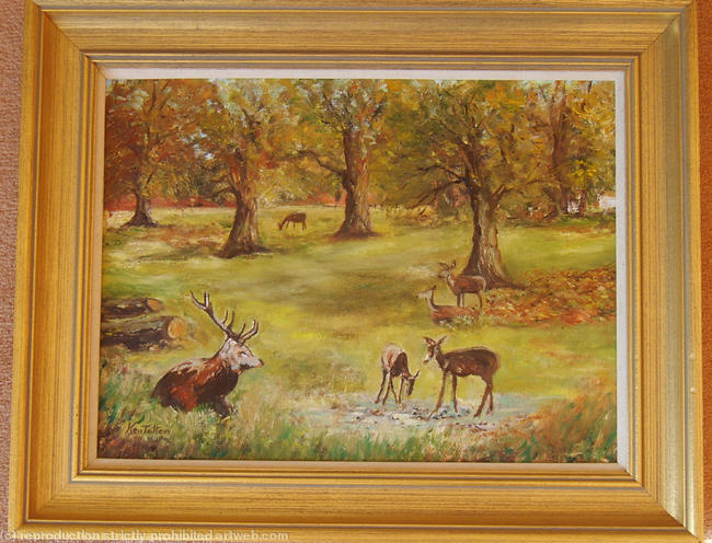 Deer in Richmond Park