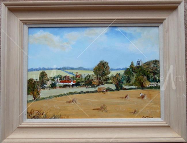 Cornfield in Dedham
