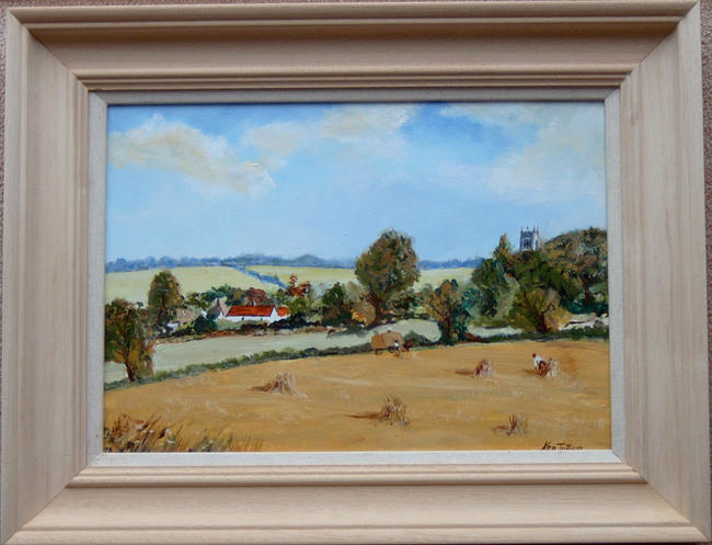 Cornfield in Dedham