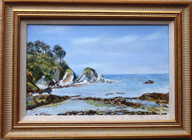 lee-bay-nth.-devon-2