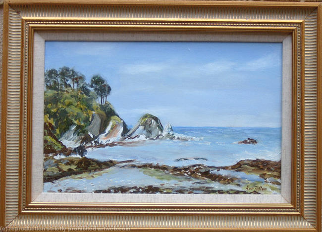 Lee-Bay-Nth.-Devon-jpg