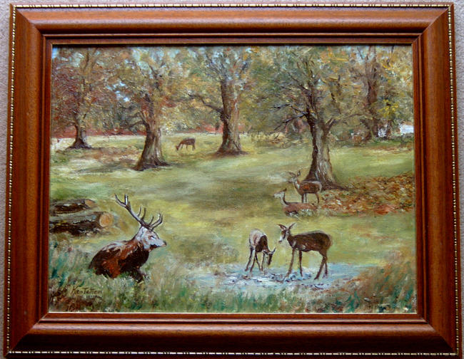 Deer In Richmond Park