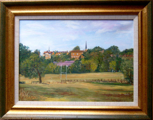 Harrow- School sports-field