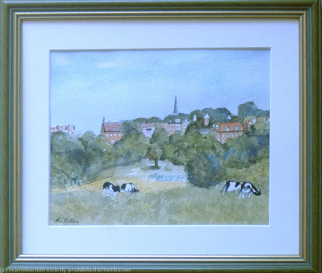 Harrow-fields-with-cattle