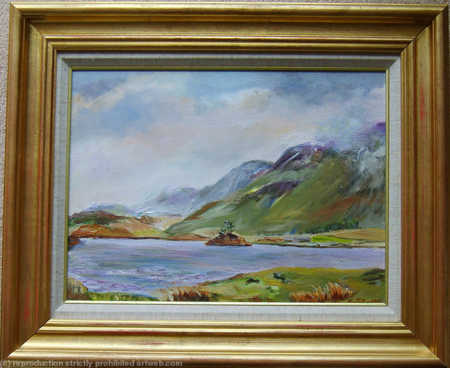 Cregennan Lake Cader Idris
