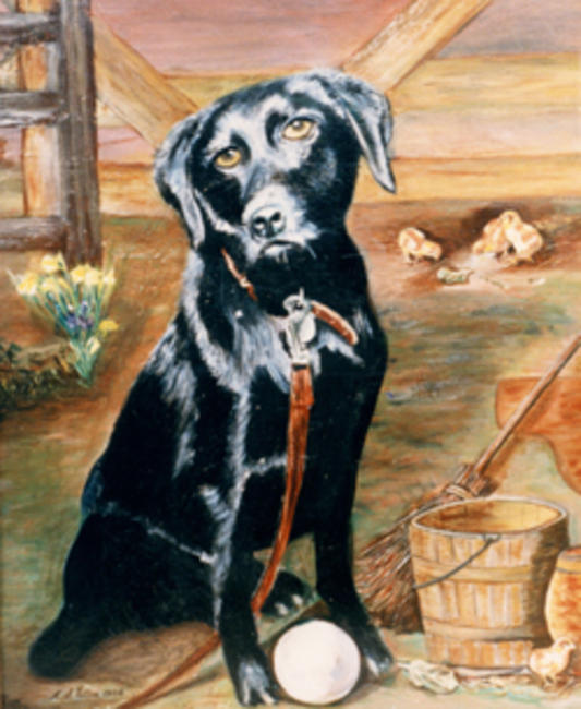 Bengy