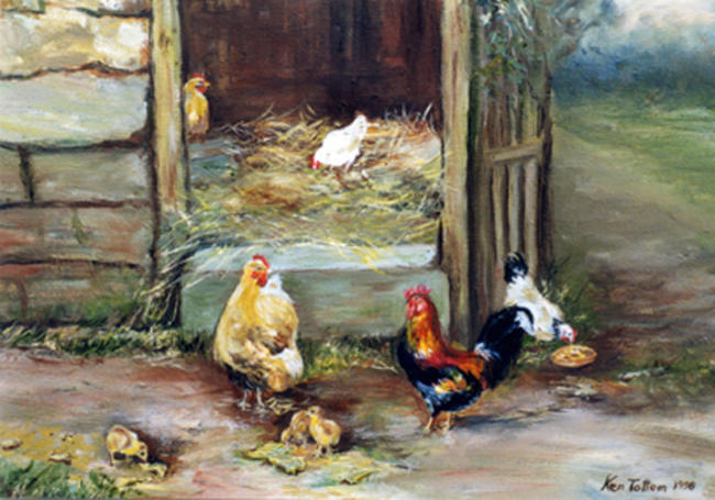 Chickens and Cockerel