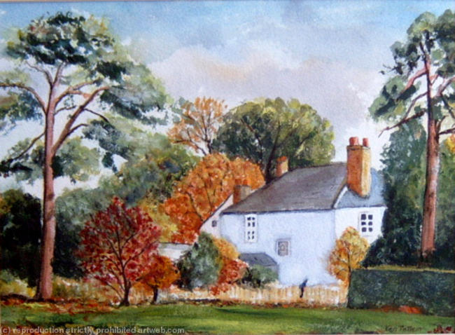 Garden Wilton Salisbury