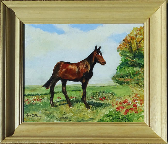 proud Suffolk horse