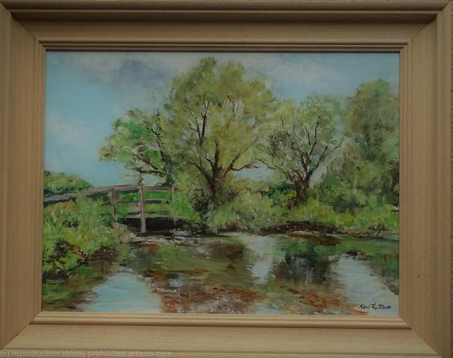 Lakeside view Steeple Langford Wiltshire