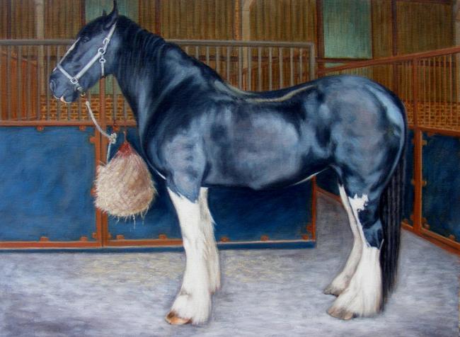 Profile of Bumble