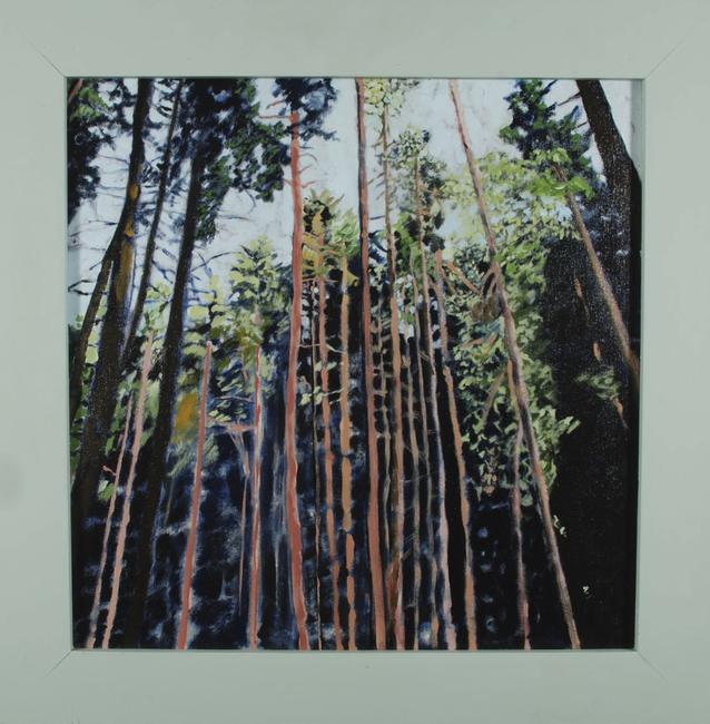 German Forest 1