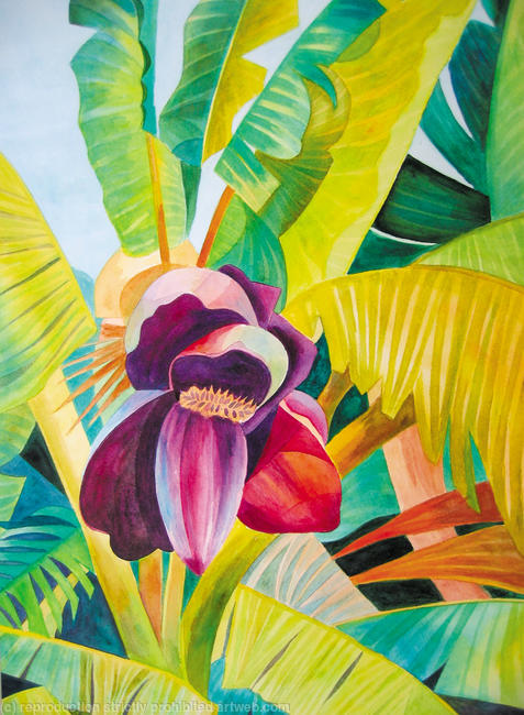 Banana Flower by Jan Mnich