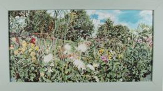Robin Raward