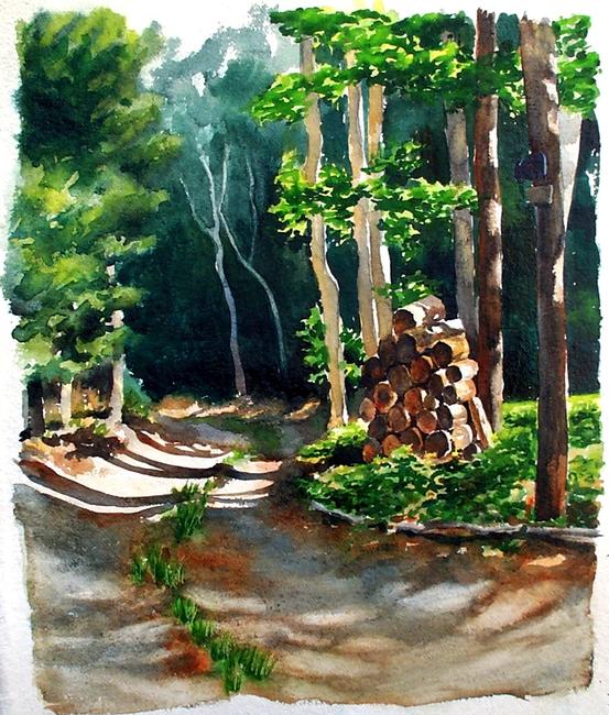 DG Munro's Woodpile