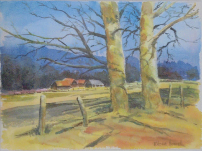 Winter Trees